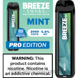 Breeze Pro 2000 bocanadas 28FJVD20 menta - Breeze Vape Argentina