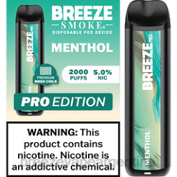 Breeze Pro 2000 bocanadas 28FJVD21 mentol - Breeze Vape Flavors