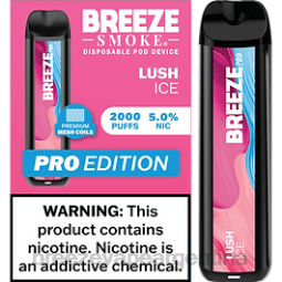 Breeze Pro 2000 bocanadas 28FJVD22 hielo exuberante - Breeze Vape Thc