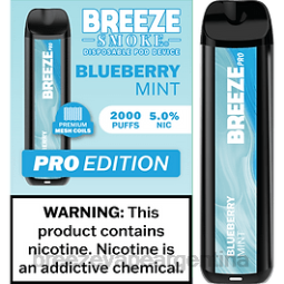 Breeze Pro 2000 bocanadas 28FJVD33 menta de arándanos - Breeze Vape Precio